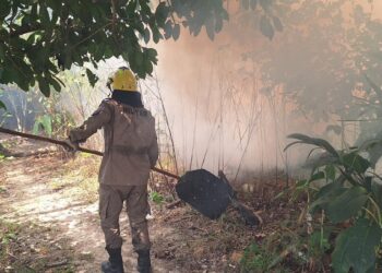 Corpo de Bombeiros combateu 560 focos de incêndios em um mês no Amazonas