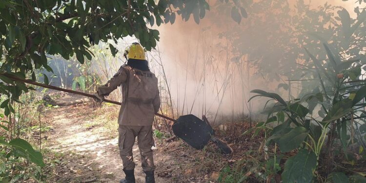 Corpo de Bombeiros combateu 560 focos de incêndios em um mês no Amazonas