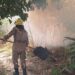 Corpo de Bombeiros combateu 560 focos de incêndios em um mês no Amazonas