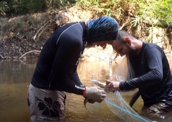 Pesquisadores realizam expedições para monitoramento de igarapés da BR-319