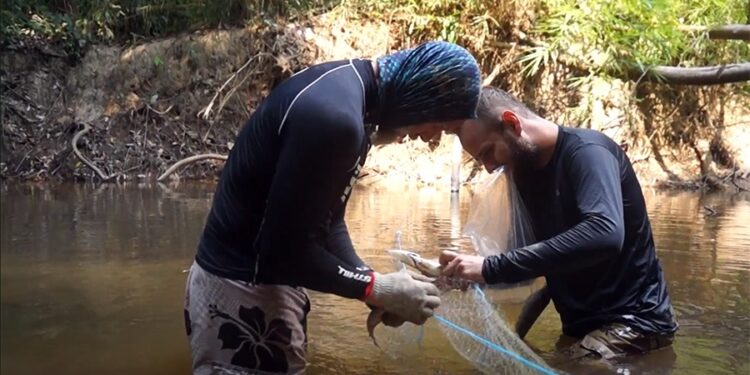 Pesquisadores realizam expedições para monitoramento de igarapés da BR-319