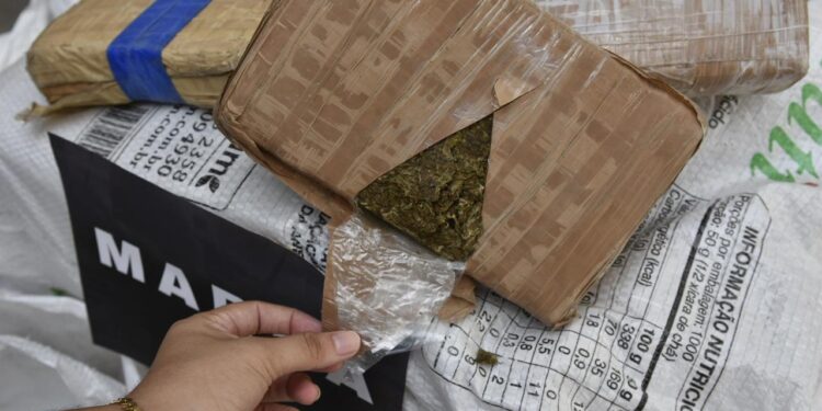 PC-AM apreende mais de meia tonelada de drogas em Maraã e Japurá, causando um prejuízo estimado em 4,7 milhões ao narcotráfico