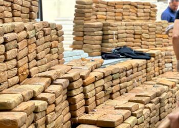 Polícia desarticula centro de distribuição de drogas e apreende mais de uma tonelada de drogas no Amazonas