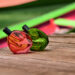 Natura apresenta Ekos Ryos: nova linha de fragrâncias que celebram a cultura Amazônica, a partir de seus rios