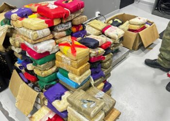 Amazonas lidera ranking de apreensões de drogas na região Norte, apontam dados do Ministério da Justiça e Segurança Pública