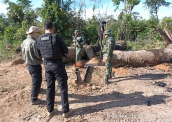 Operação Tamoiotatá aplicou mais de R$ 54 milhões em multa por crimes ambientais no sul do Amazonas