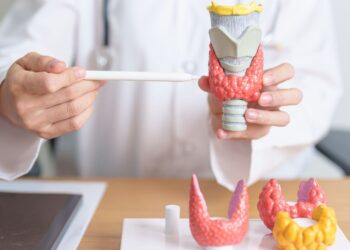 Tireoide merece atenção em todas as fases da vida