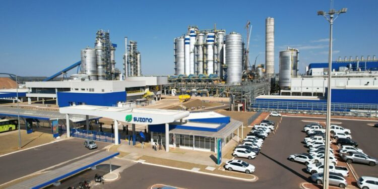 Suzano inicia operação da maior linha de produção de celulose do mundo