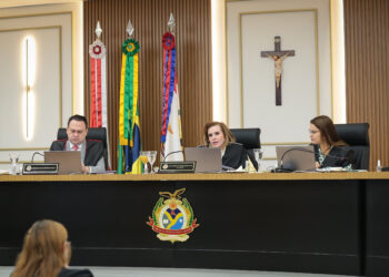 Tribunal Pleno do TCE-AM julga ilegal convênio entre Sepror e Prefeitura de Ipixuna