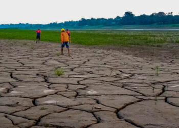Defensoria instaura procedimento para acompanhar os impactos da estiagem no Amazonas