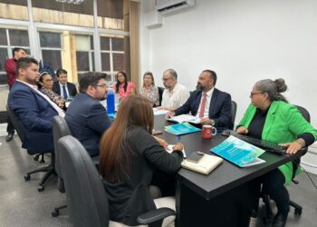 CNJ apresenta à DPE-AM relatório sobre situação de pessoas indígenas na Justiça Criminal