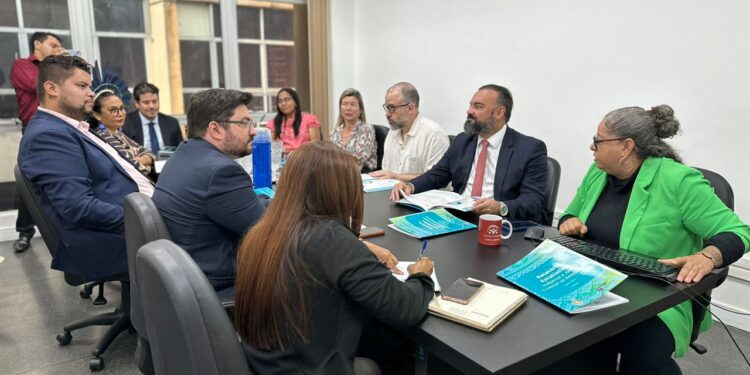CNJ apresenta à DPE-AM relatório sobre situação de pessoas indígenas na Justiça Criminal