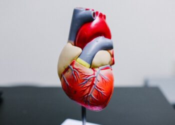 Mês de combate ao colesterol: Alerta para a saúde cardiovascular