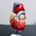 Mês de combate ao colesterol: Alerta para a saúde cardiovascular
