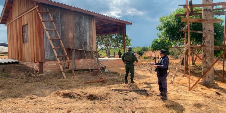 Em 20 dias, operação Tamoiotatá aplicou mais de R$ 16 milhões em multas por crimes ambientais em três municípios do Amazonas