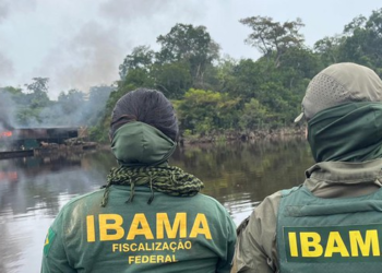 No Vale do Javari (AM), Ibama apreende ouro e destrói dragas de garimpo durante operação