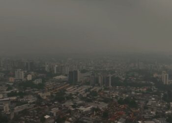 Ação da Defensoria do Amazonas solicita que governo instale sala de situação para monitorar queimadas