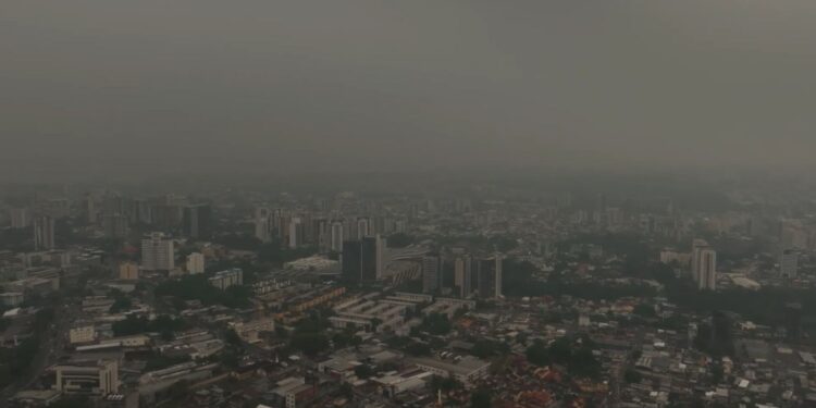Ação da Defensoria do Amazonas solicita que governo instale sala de situação para monitorar queimadas