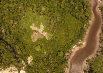 Seminário no Amazonas reúne especialistas com objetivo de fortalecer a restauração florestal na Amazônia