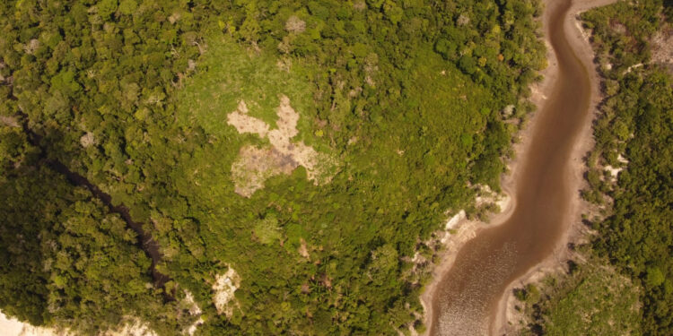 Seminário no Amazonas reúne especialistas com objetivo de fortalecer a restauração florestal na Amazônia