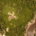 Seminário no Amazonas reúne especialistas com objetivo de fortalecer a restauração florestal na Amazônia
