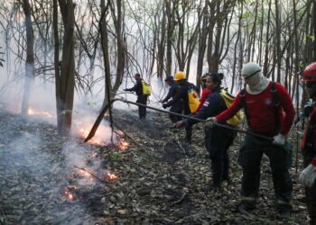 Período de seca extrema e fumaça preocupam especialistas; veja como se prevenir