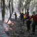 Período de seca extrema e fumaça preocupam especialistas; veja como se prevenir