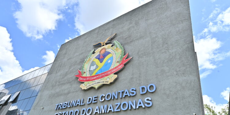 TCE-AM faz esforço concentrado para zerar estoque de processos
