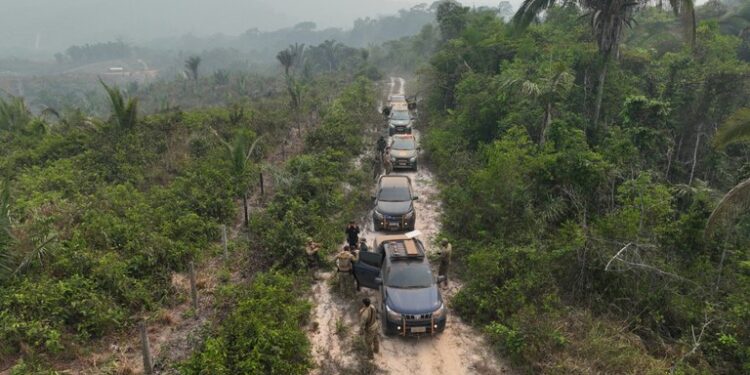 PF, PRF e Ibama combatem desmatamento no Amazonas