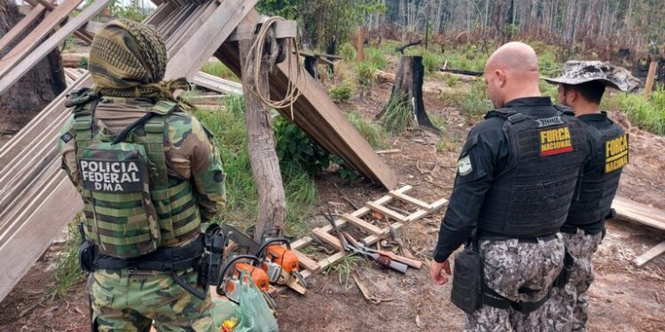 PF deflagra nova operação de combate aos desmatamentos e queimadas ilegais na região sul do Amazonas