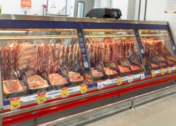 Nutricionista orienta sobre como escolher, conservar e preparar os diversos tipos de carne