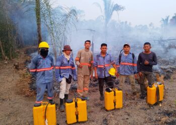 Brigada Indígena protege agroflorestas no Sul do Amazonas
