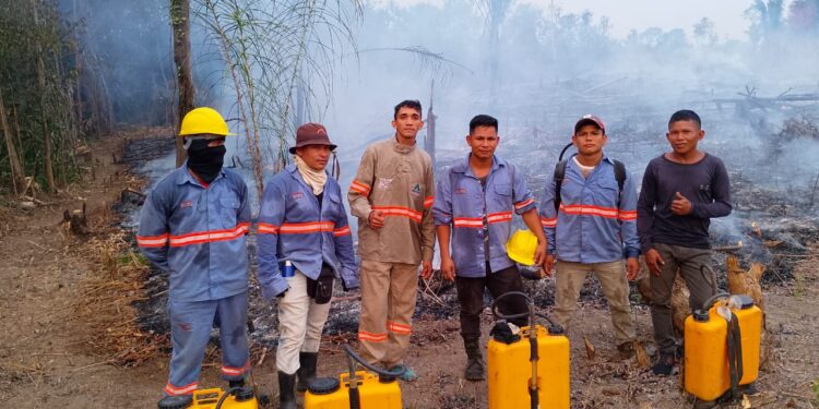 Brigada Indígena protege agroflorestas no Sul do Amazonas
