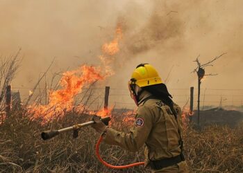 Em Boca do Acre, Operação Aceiro já combateu 2.132 focos de incêndios