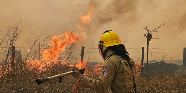Em Boca do Acre, Operação Aceiro já combateu 2.132 focos de incêndios