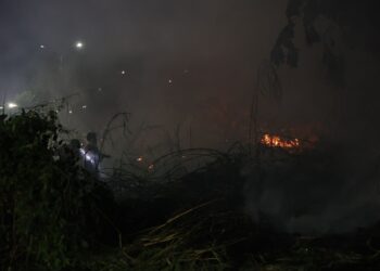 Tribunal de Contas cria comitê para intensificar o enfrentamento às queimadas no Amazonas
