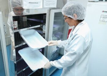 Hemoam tem horário de funcionamento especial no feriado da Semana da Pátria