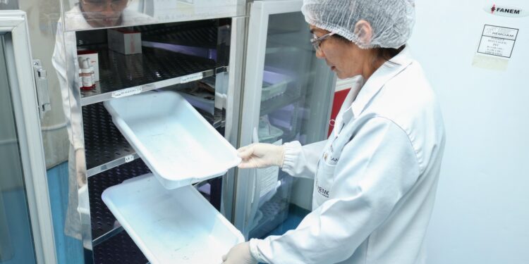 Hemoam tem horário de funcionamento especial no feriado da Semana da Pátria