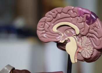 O impacto da arritmia cardíaca no cérebro