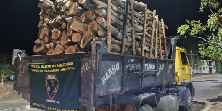 Em menos de 24 horas, SSP-AM prende dois homens suspeitos de transportar madeira ilegal em Iranduba e Manaus 