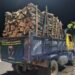 Em menos de 24 horas, SSP-AM prende dois homens suspeitos de transportar madeira ilegal em Iranduba e Manaus 