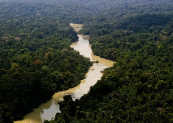 Governo Federal diz que entrou com primeira ação por danos climáticos contra a Amazônia