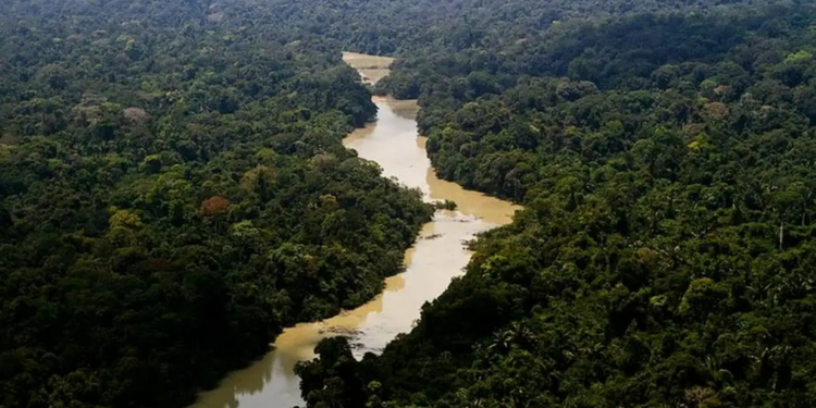 Governo Federal diz que entrou com primeira ação por danos climáticos contra a Amazônia