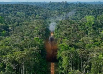 Forças Armadas destroem pista de pouso clandestina na Terra Yanomami