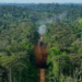 Forças Armadas destroem pista de pouso clandestina na Terra Yanomami