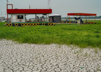 Amazônia: Seca de rios favorece caça e pesca ilegais