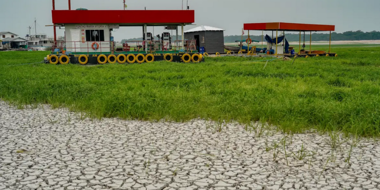 Amazônia: Seca de rios favorece caça e pesca ilegais