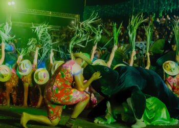 Em Novo Airão, MPAM abre inquérito civil para apurar venda irregular de ingressos do Eco Festival do Peixe-Boi de 2023