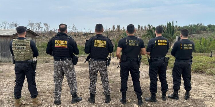 Polícia Federal combate crime de desmatamento ilegal e queimadas no interior do Amazonas