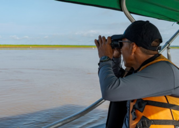 Botos: No Amazonas, instituto diz que intensificou monitoramento após seca extrema